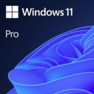 WINDOWS 11 PRO 32/64BIT TURKCE-INGILIZCE ELEKTRONIK LISANS FQC-10572