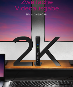 ICY BOX DK2241AC USB Type-C® Notebook DockingStation 2 Monitör